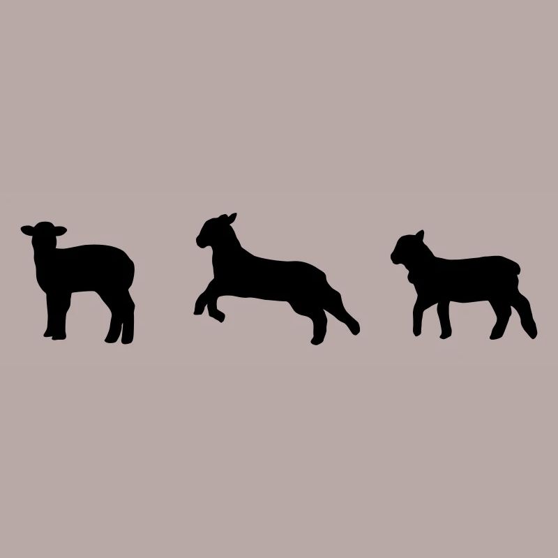 sheep, lamb