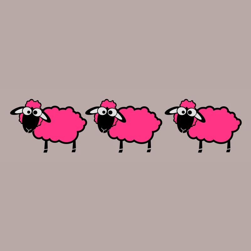 flock sheep