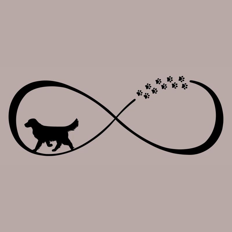 Infinity Loop Golden Retriever, infinite loop