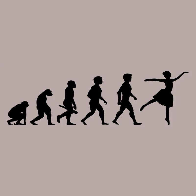 Evolution Ballerina Ballet Danse Danseuse Danse