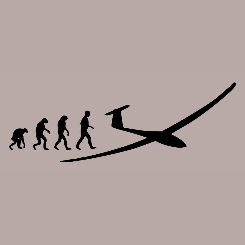 segelflugzeug evolution