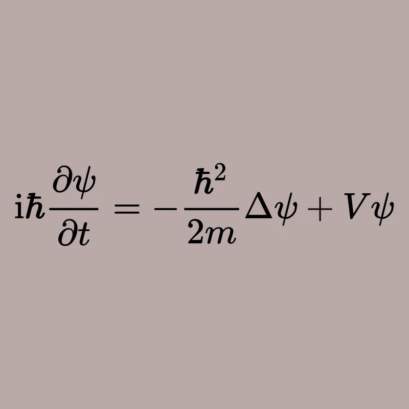 Schrödinger equation
