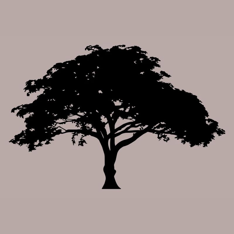 Baum