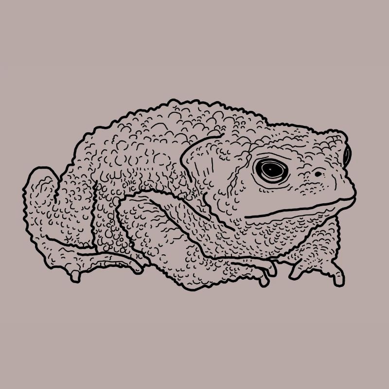 toad