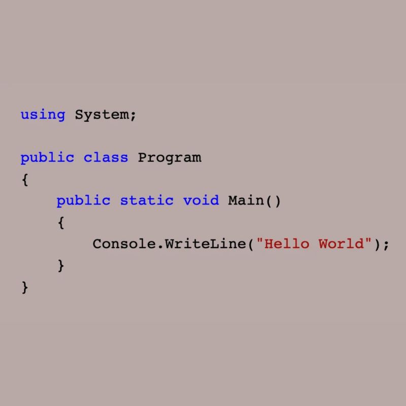 C # .NET Code Hello World Programmer Gift