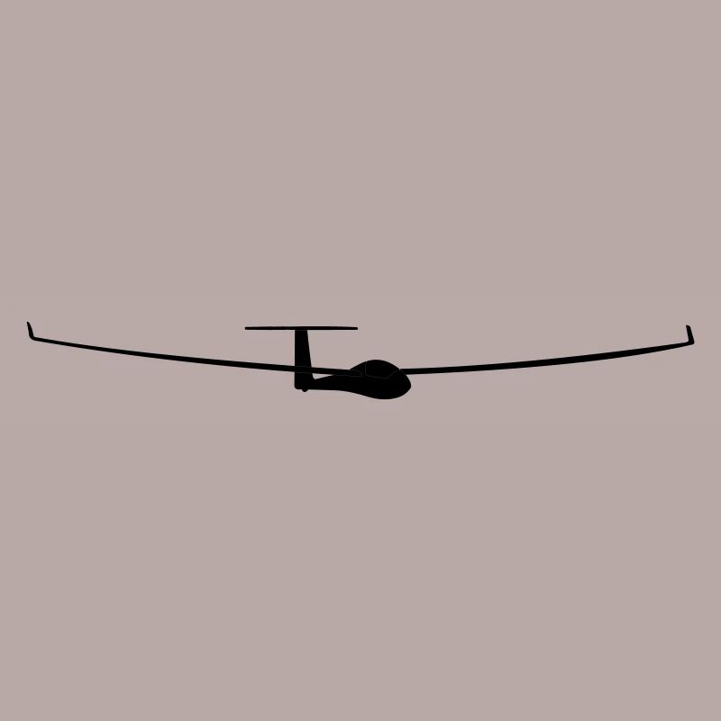 soaring pilot