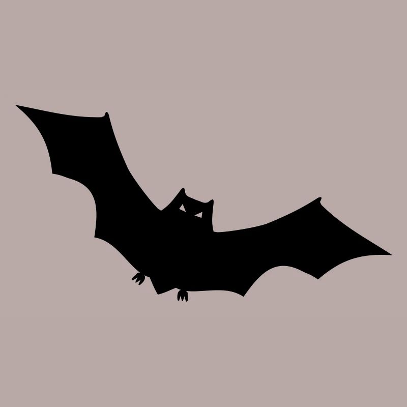 Fledermaus