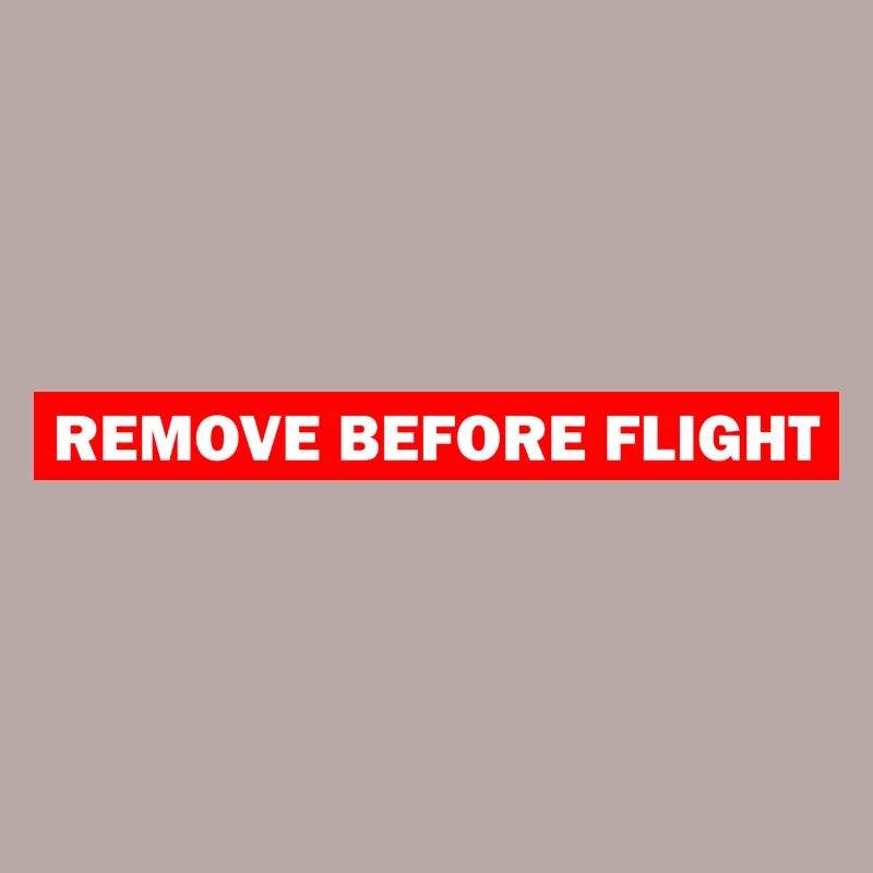 REMOVE BEFORE FLIGHT