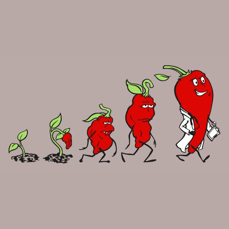 Chili Evolution