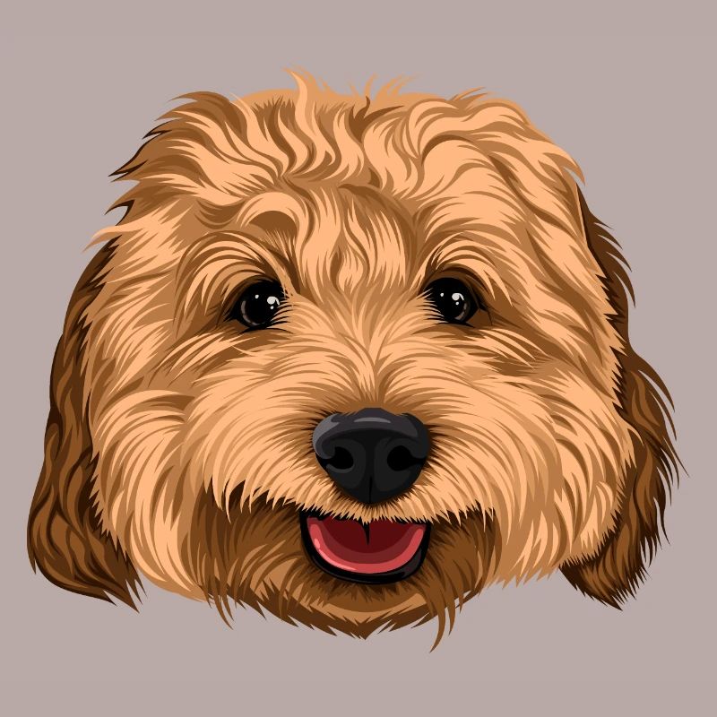 Glücklicher Cockapoo