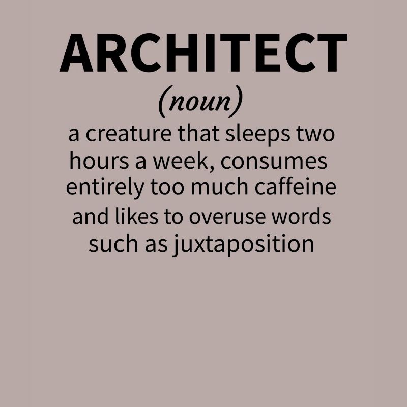 Architecture Gift Architecture Student Architect