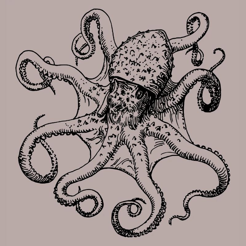 squid giant octopus octopus octopus squid sepia fish