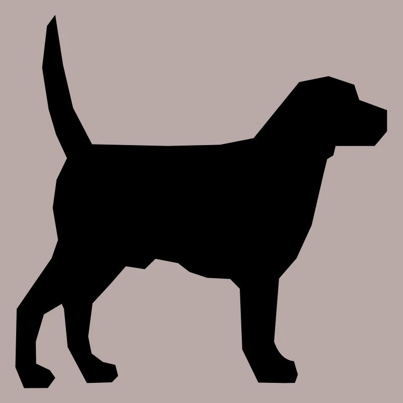 Hund