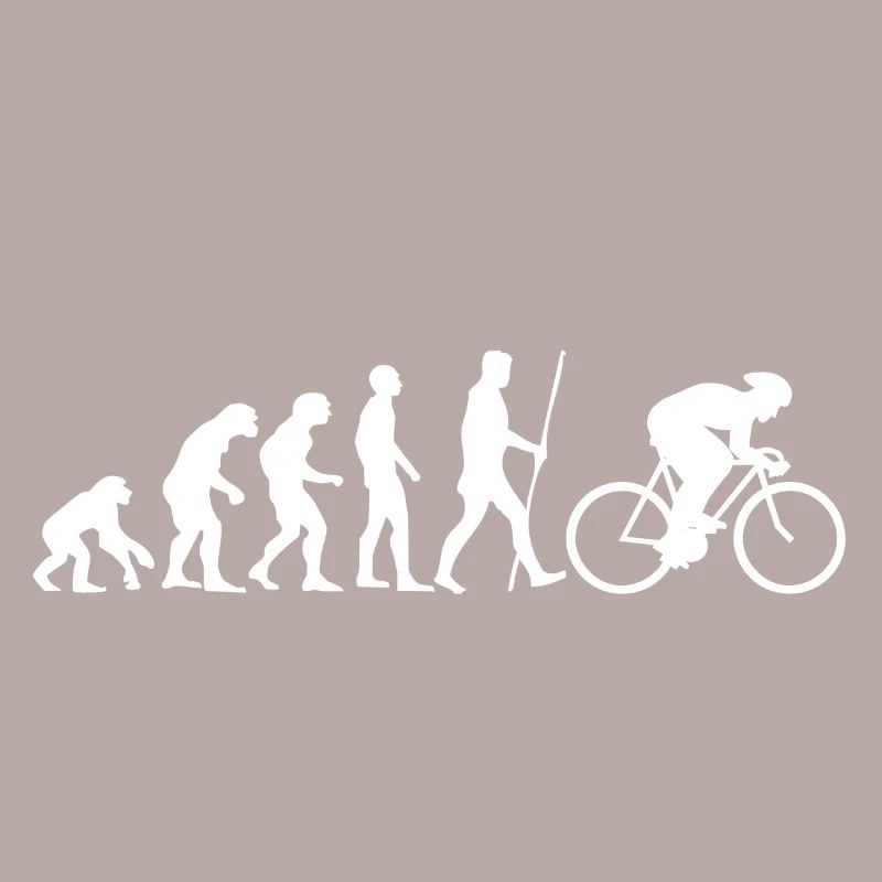 Evolution road bicycle as a gift