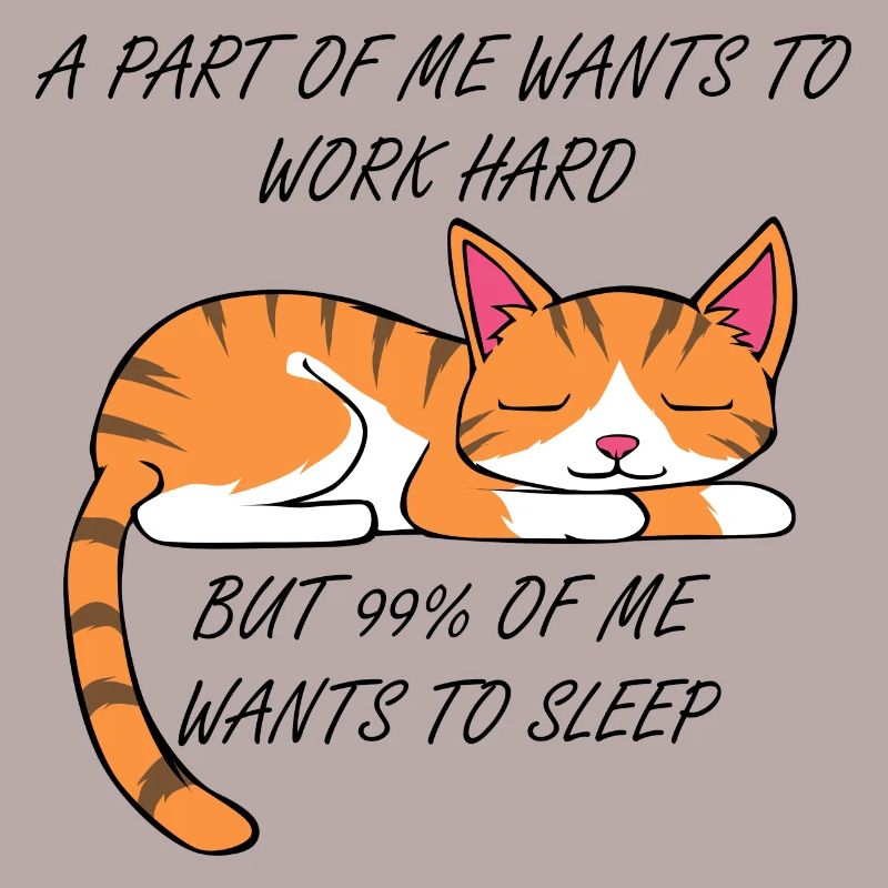 Arbeit oder Schlafen niedliche Katze Ausrede
