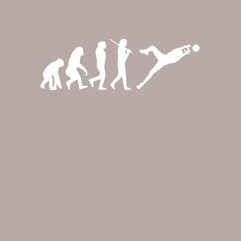 Evolution du gardien