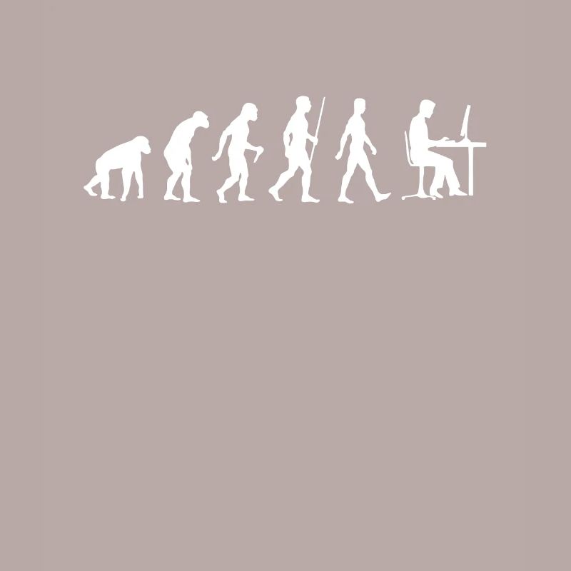 Les programmeurs Evolution développeur informatique
