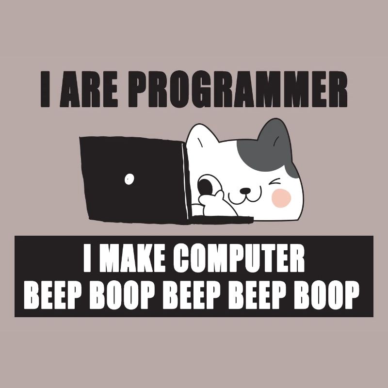 Ich bin Programmierer