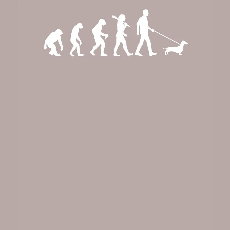 Evolution du teckel