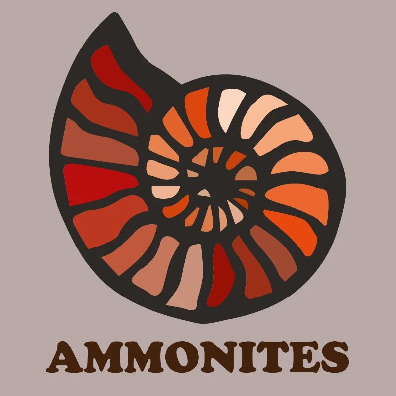 Ammoniten