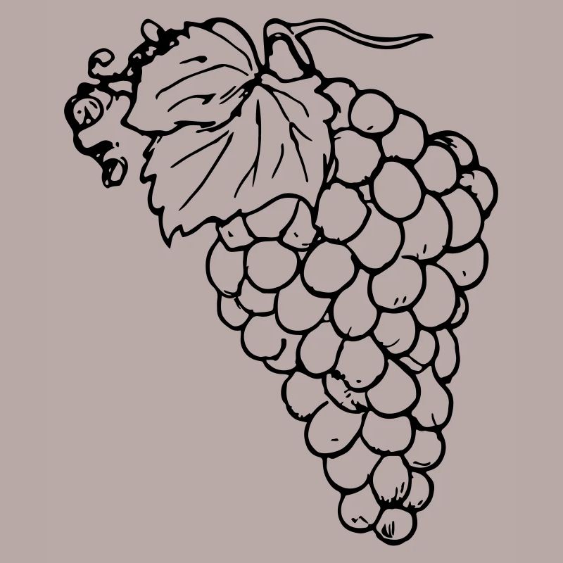 Grape Grapes Illustration Vector Gift Idea