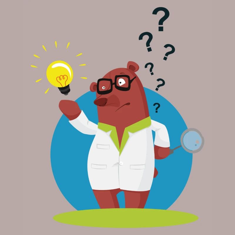Explainer bear