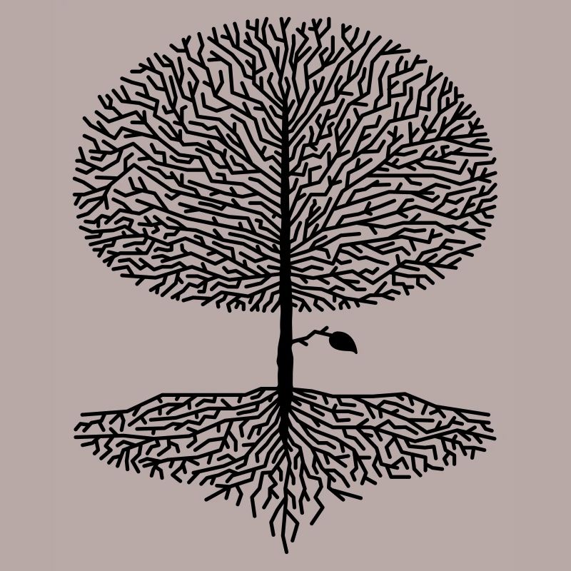 Deciduous Tree Crown Branches Forest Oaks Beech Nature Climate