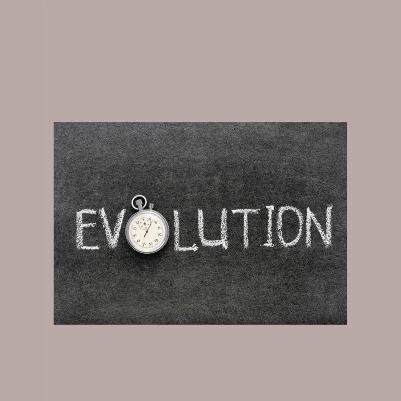 Evolution