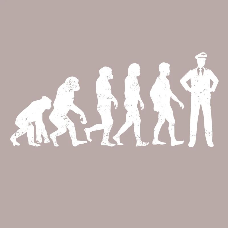 Evolution Pilot Airplane