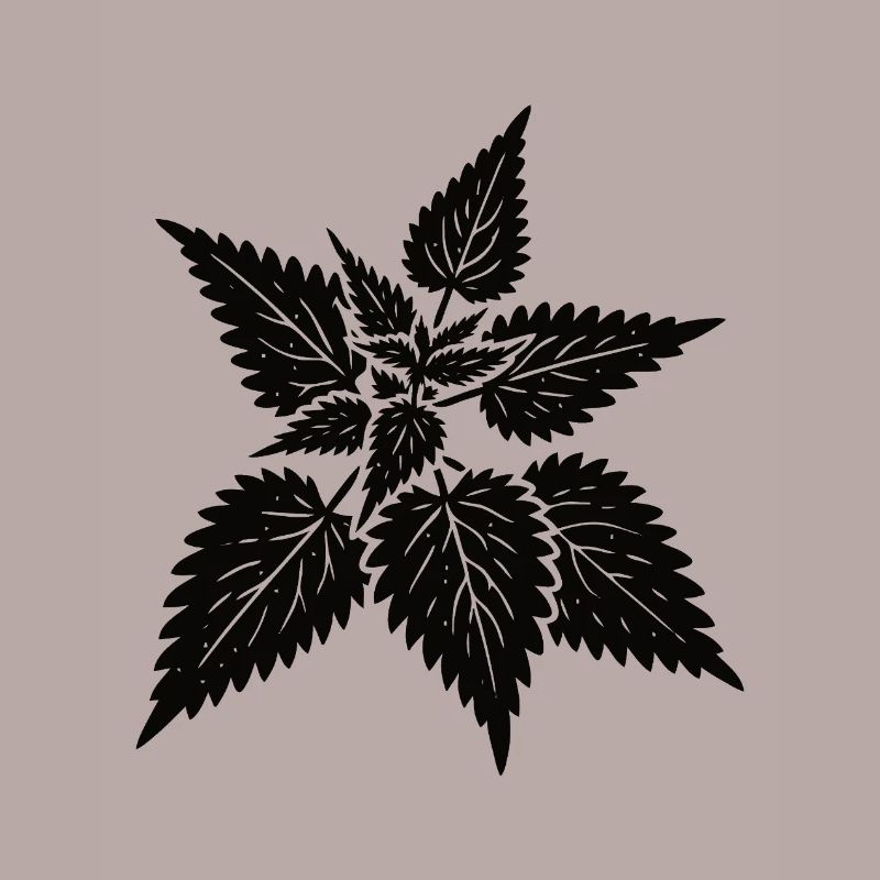 simple nettle design – wild & healing