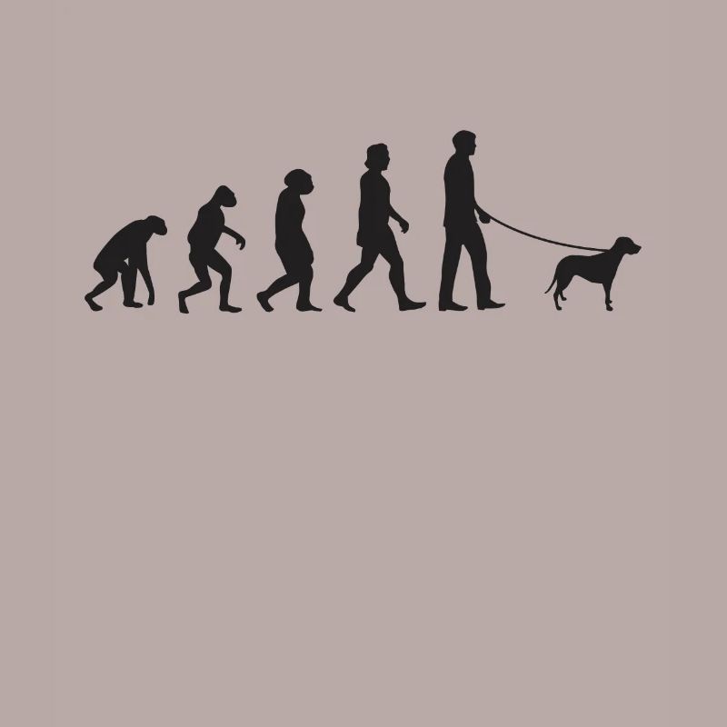 Brandlbracke Evolution Bracke chien de chasse