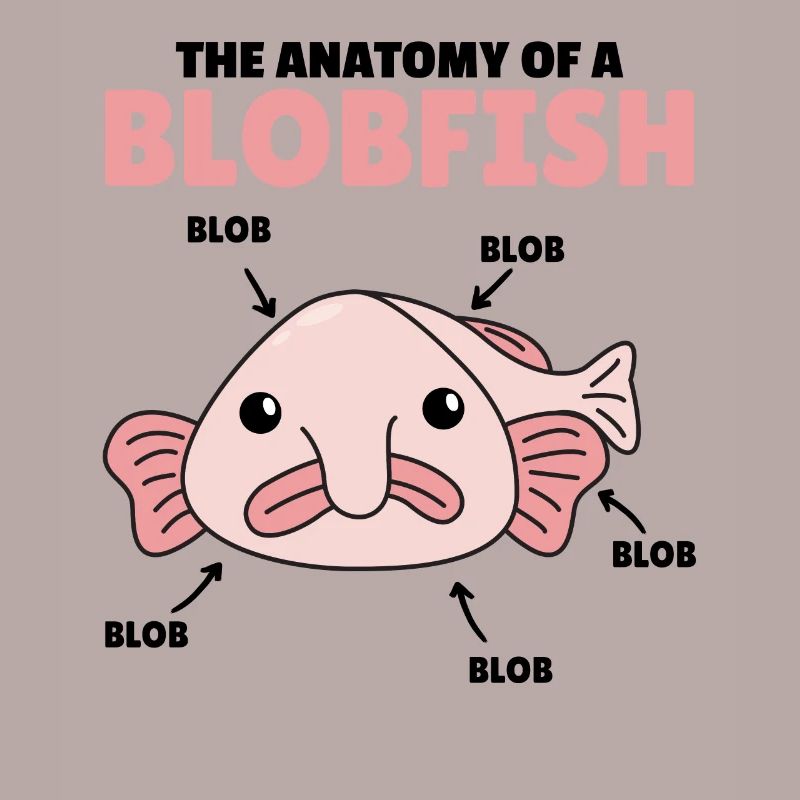 Blobfish Explication Anatomie d’un Blobfish