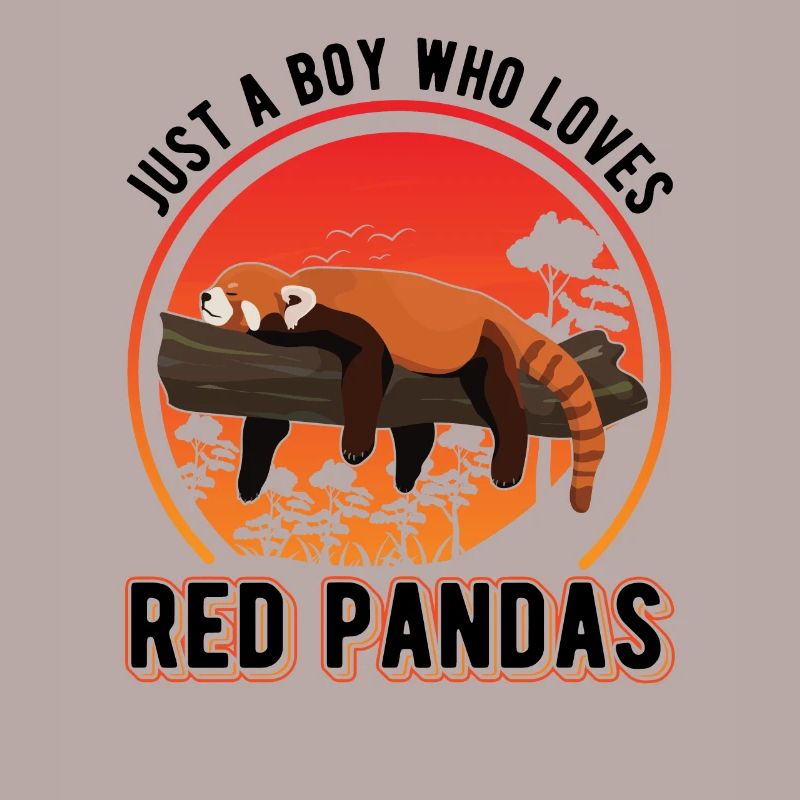 Roter Panda Junge Red Panda