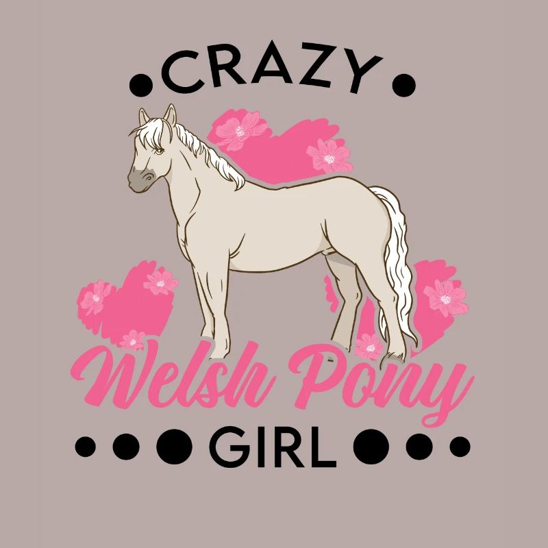 Verrücktes Welsh Pony Mädchen