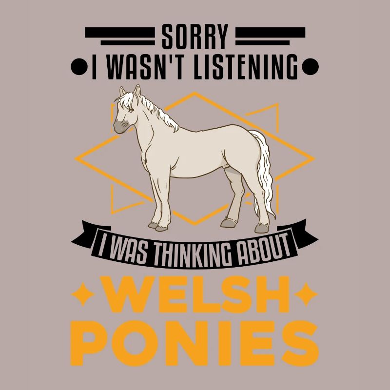 Welsh Pony Geschenk