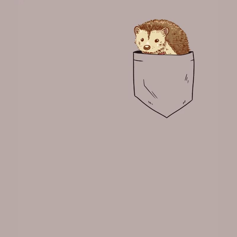 Igel in Brusttasche