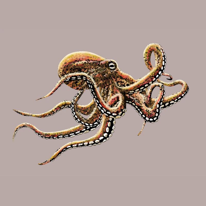 OCTOPUS
