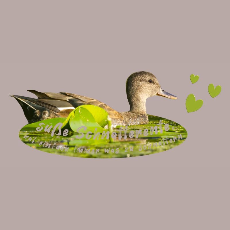 Gadwall chattering chatterbox
