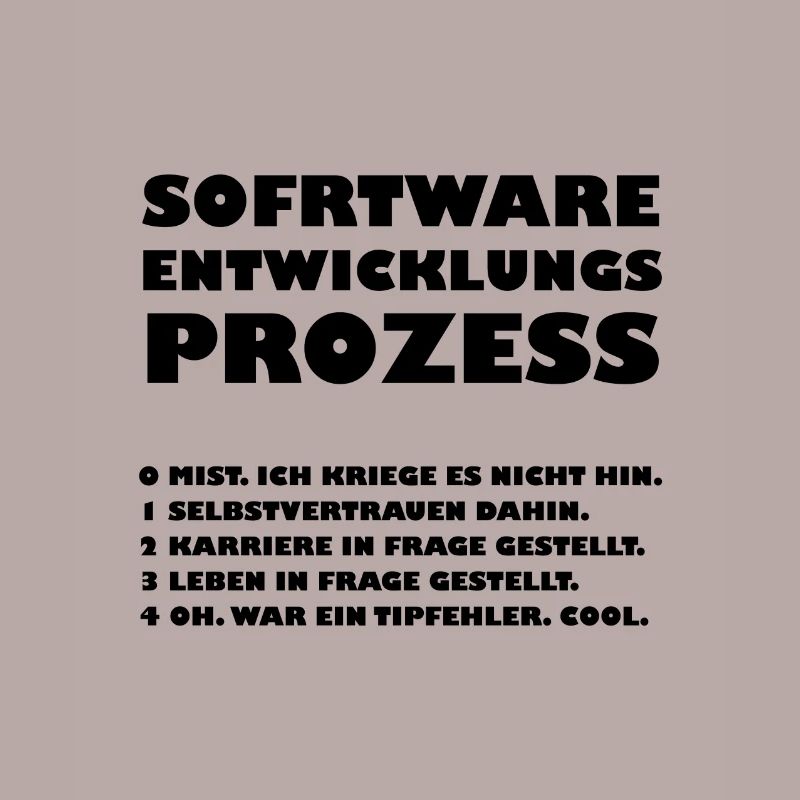 Software development process