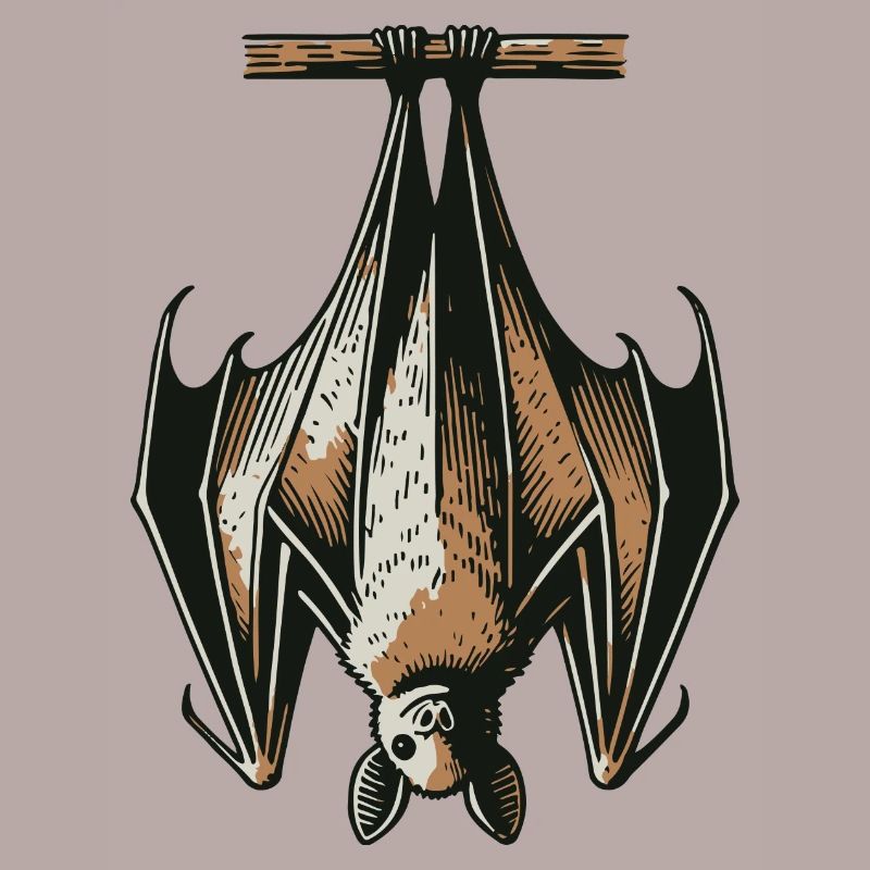 Fledermaus
