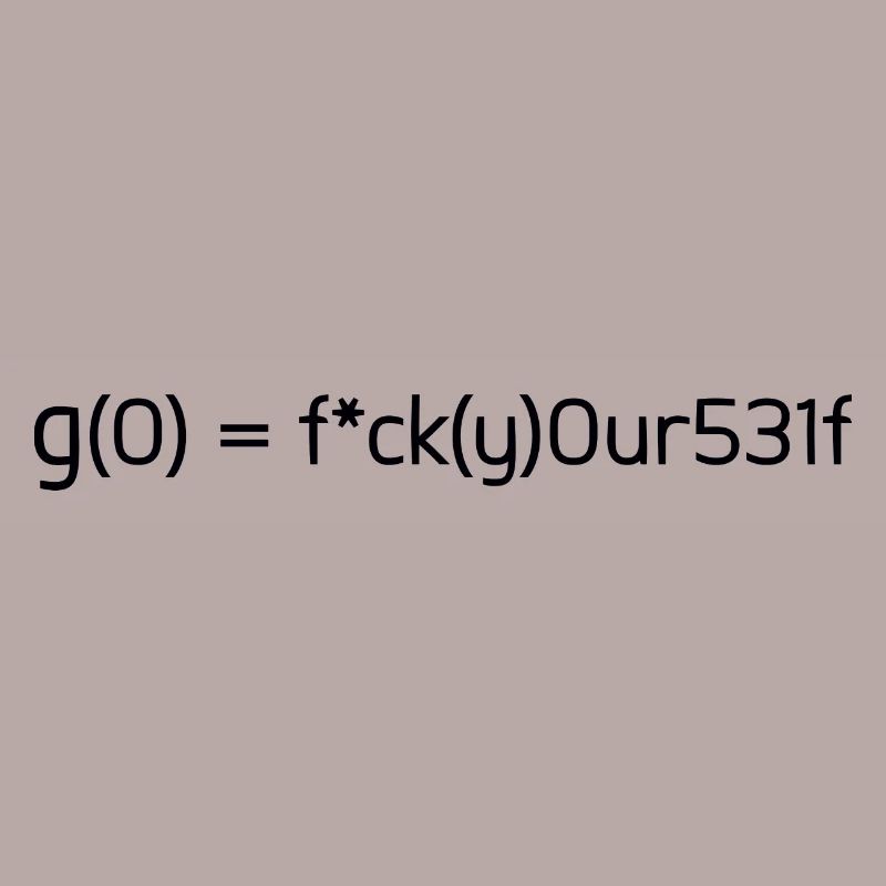 Math funny funny formula gift idea