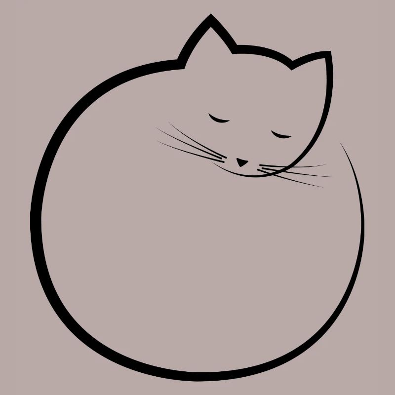 chat endormi