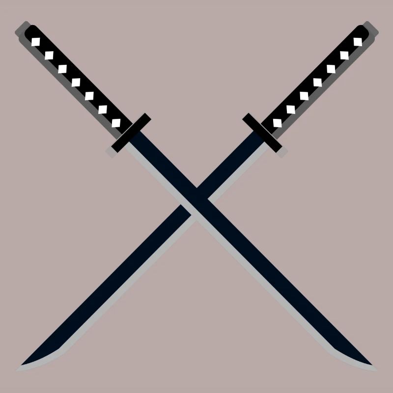 Ninja Samurai épée Ninjutsu