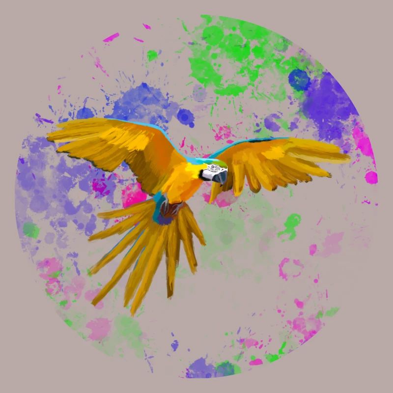 Macaw flight before paint splashes