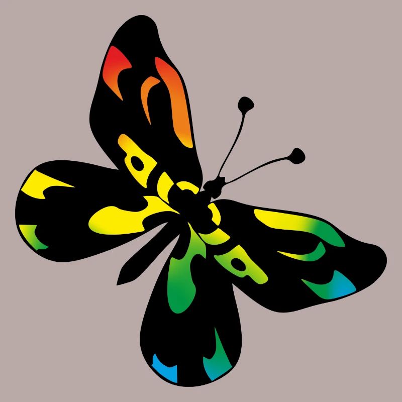 Papillon
