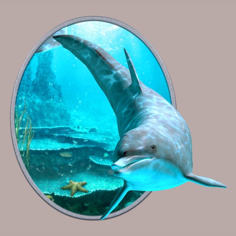 Dolphin
