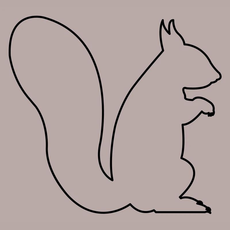 squirrel
