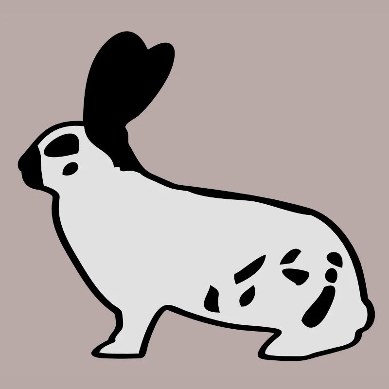 German giant piebald rabbit rabbit bunny