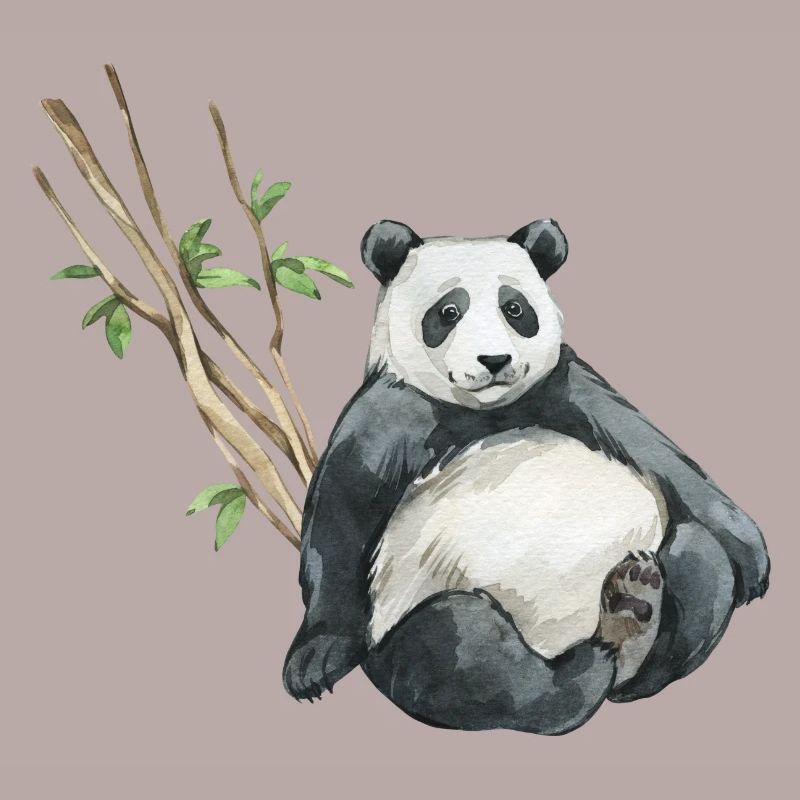 Panda Eucalyptus