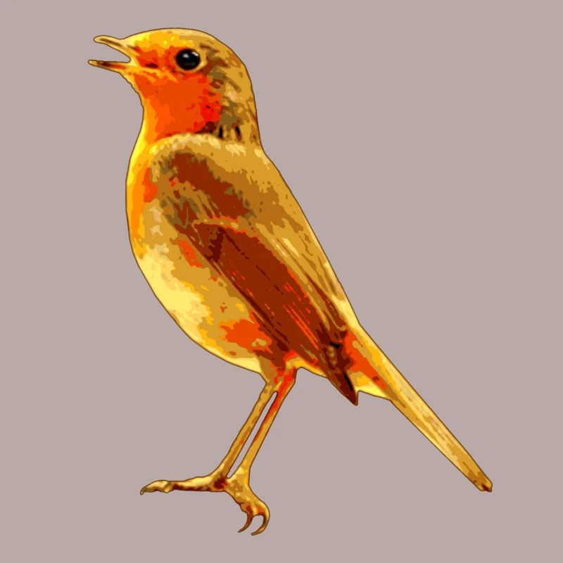 Rouge-gorge chantant